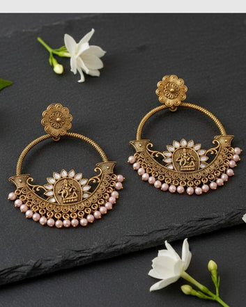 Pair of Chic Hoop Earrings
